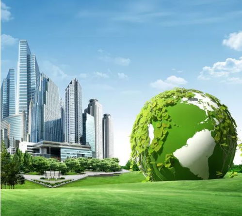 冷凝炉vs常规炉，谁才是节能智选？