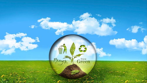 互联网再生废品资源回收的前景与节能效益